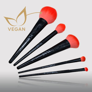 Make-up Brush Set- Pre-order Now!